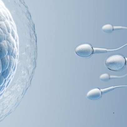Male Fertility Diagnostics
