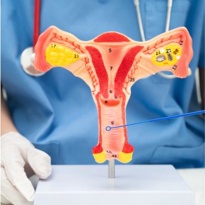 What we cover in counseling